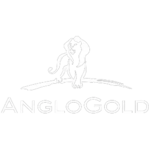 Anglo Gold logo