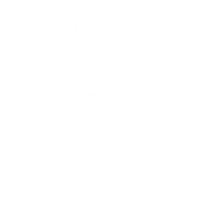 The Global Fund logo